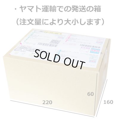画像3: ハナヘナトリートメント（350ml）