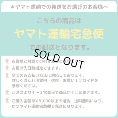 画像2: ハナヘナトリートメント（350ml）