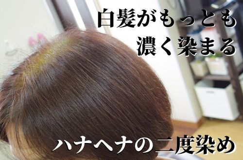 二度染めセット ハナヘナとdo Sシャンプー通販ショップ 美容院のプロが教える使い方と効果 髪の屋 菅野