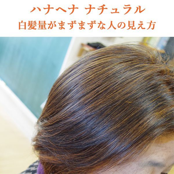 天然100％ヘナ】ハナヘナ ヘナナチュラル (500g) 白髪染め 業務用 ｜髪 