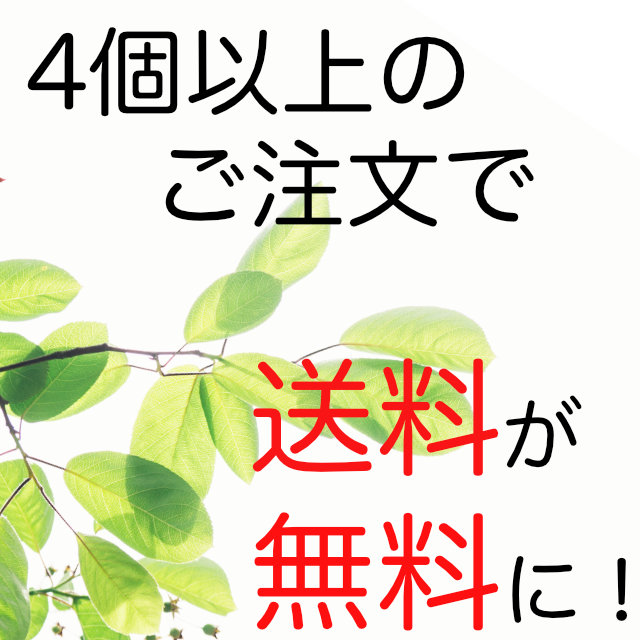 天然100％インディゴ】ハナヘナ インディゴ(100g) 白髪染め 藍色 黒 ｜髪の屋 菅野ハナヘナショップ